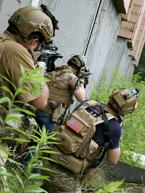 Assault Back Panel Mod.2 - Coyote [8FIELDS]